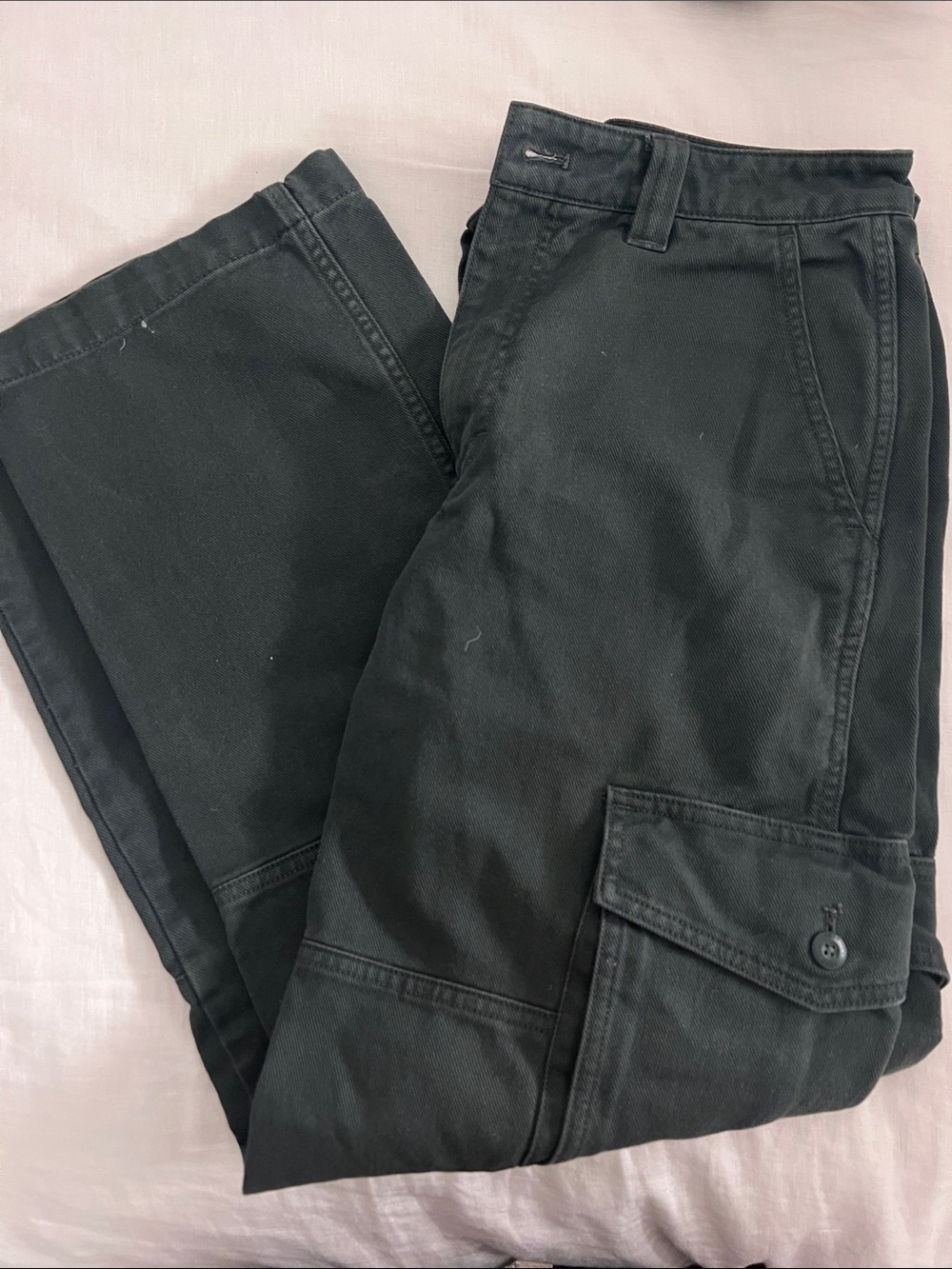 Aritzia Black Straight-Leg Green Cargo Pants